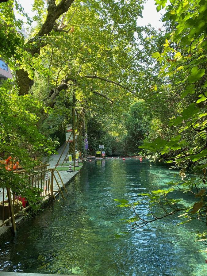 Yuvarlakcay Cinar Butik Otel Koycegiz Exterior photo
